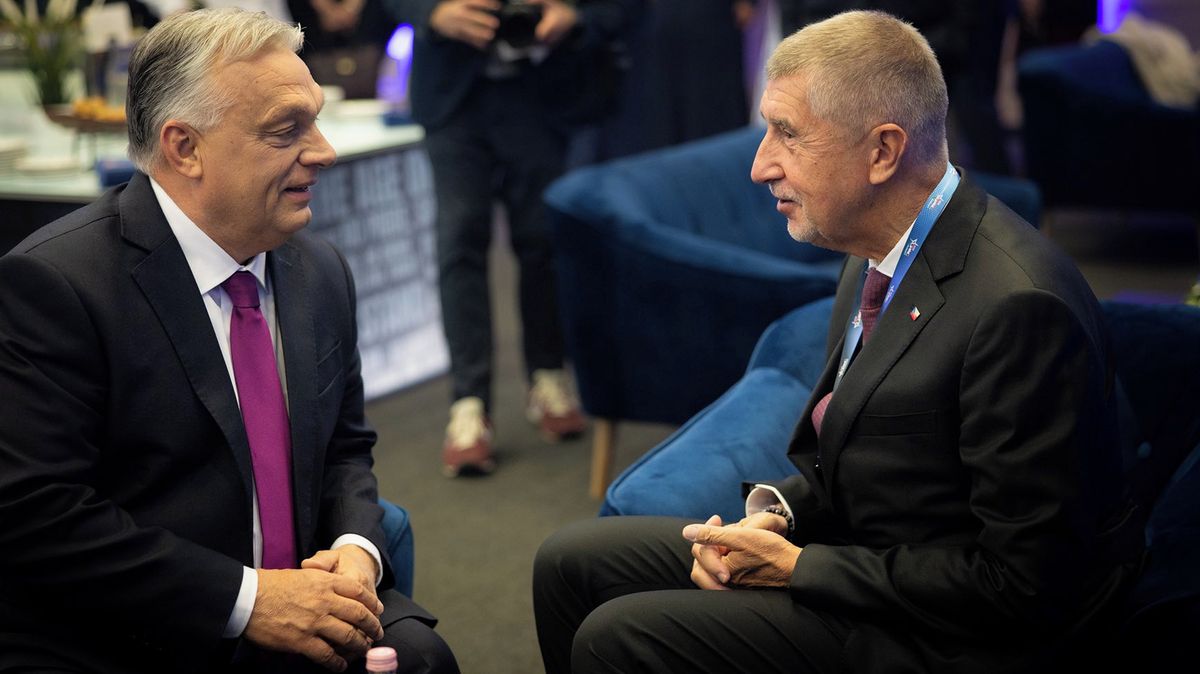 Babiš podpořil Orbána, volba stability je podle něj důležitější než kdy dřív